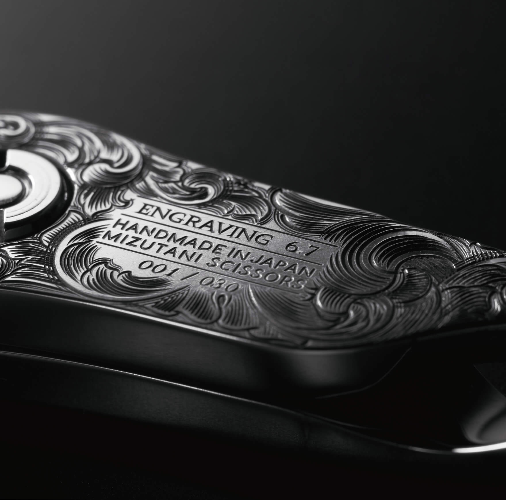 特集 2024 ENGRAVING MODEL | ミズタニシザーズ