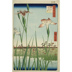 名所江戸百景 堀切の花菖蒲 - 歌川広重 - 日本画 - 名画 - Canon