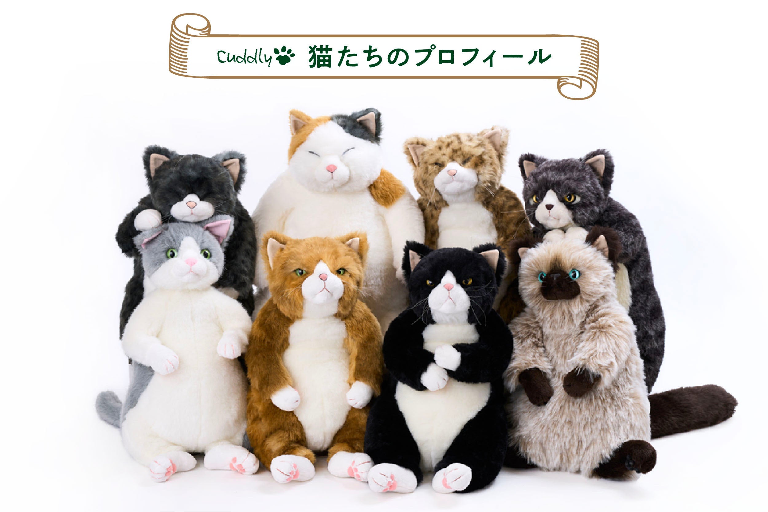 Cuddlyの個性豊かな猫たち – Cuddly公式オンラインショップ