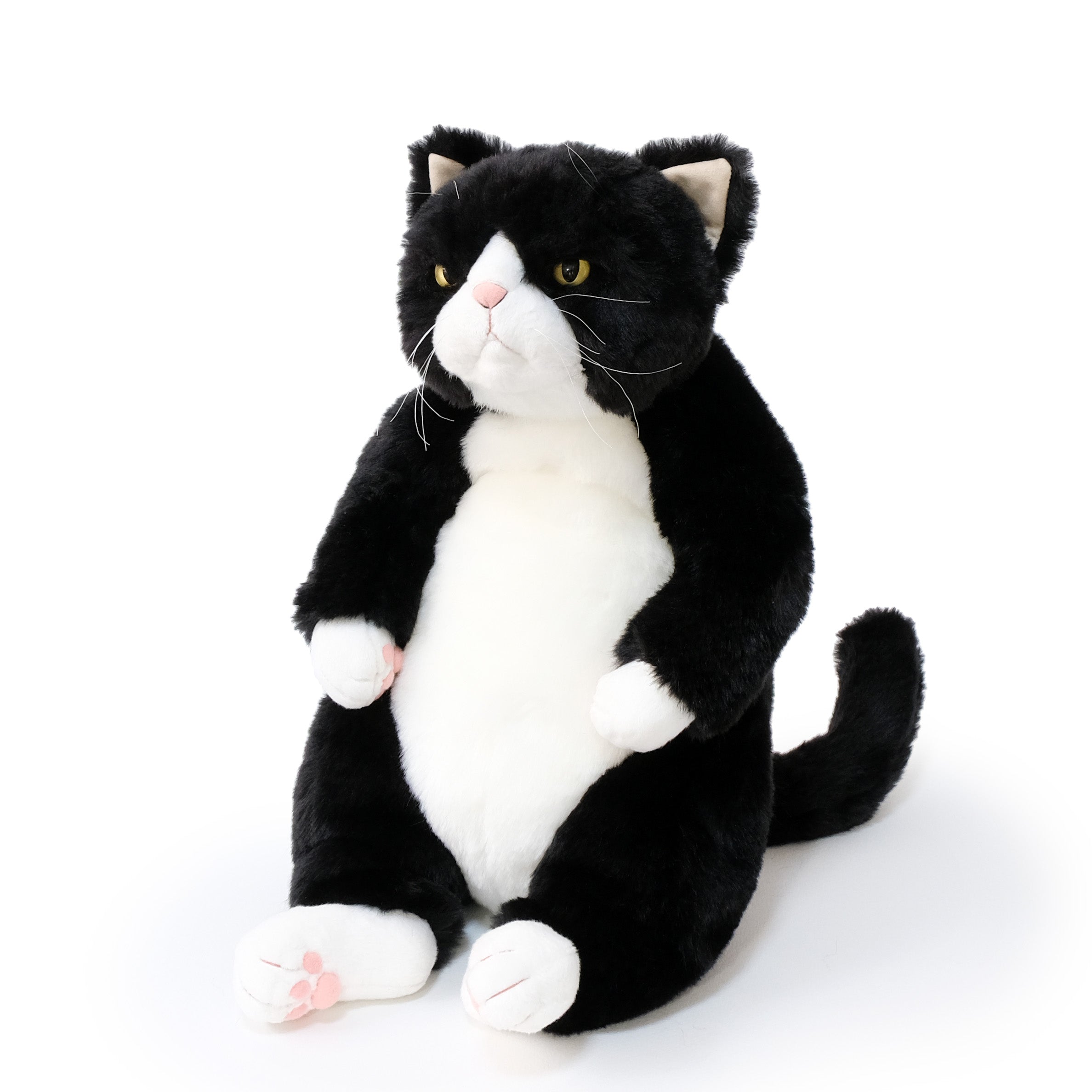 甚五郎 Jingoro 猫のぬいぐるみ – Cuddly公式オンラインショップ