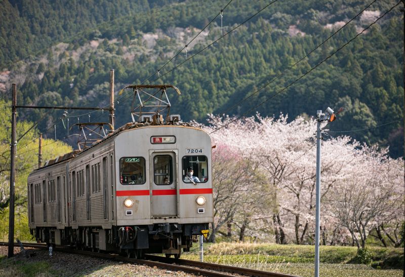 大井川鐵道創立100周年記念フォトコンテスト 受賞作品発表【受賞作品は
