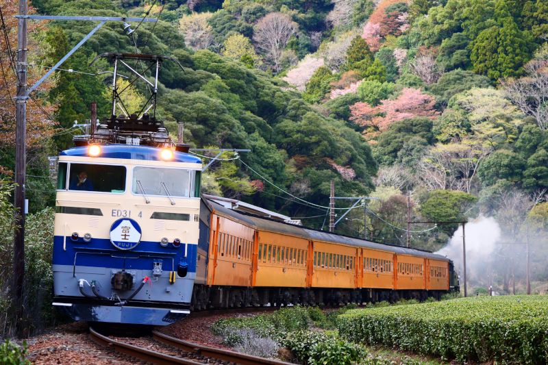 大井川鐵道創立100周年記念フォトコンテスト 受賞作品発表【受賞作品は