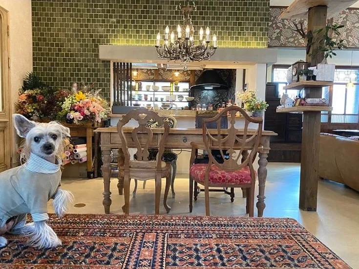 アンティーク・骨董品大好き！｜和洋ミックス得意なハイセンスお台所