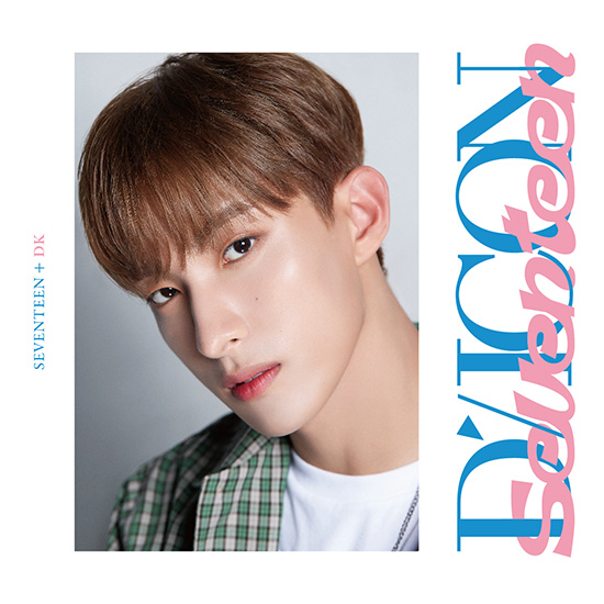 DICON D'FESTA MINI EDITION SEVENTEEN DK] | kokode books | [DICON D