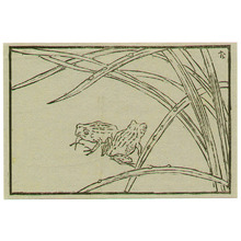 高橋力雄点の浮世絵