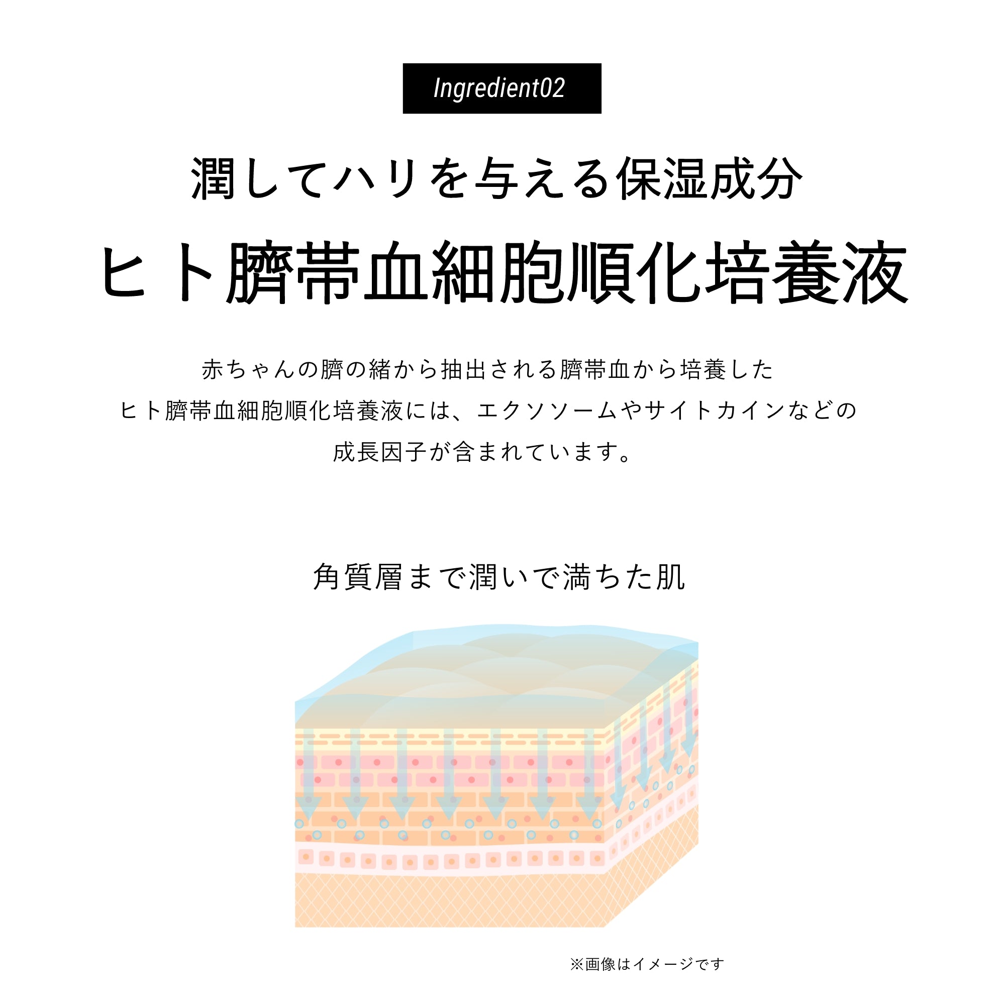 Deami (ディアミー) クッションファンデーション | DeAmi 公式