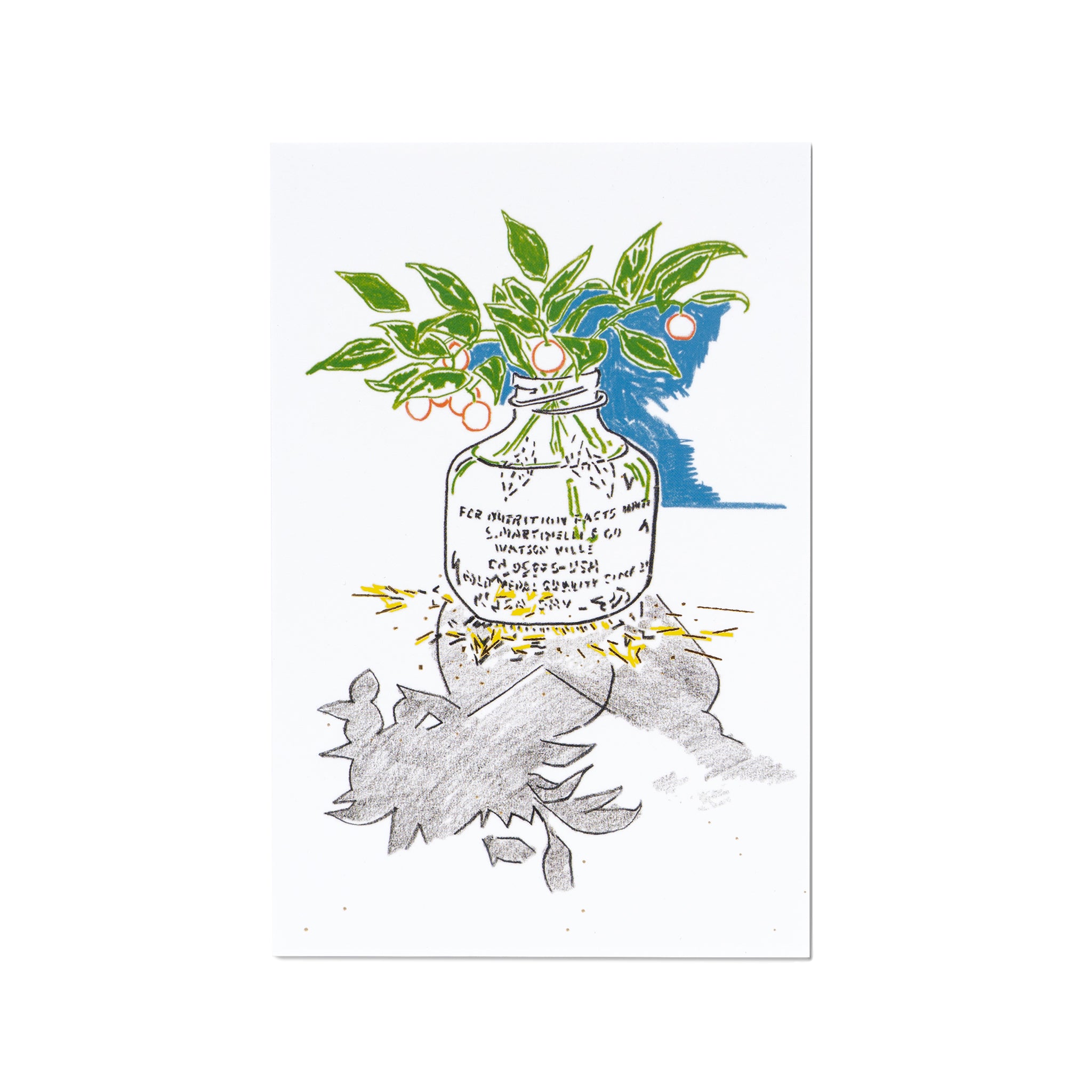 ポストカード 多目的「イタリアの木の実」 | D-BROS