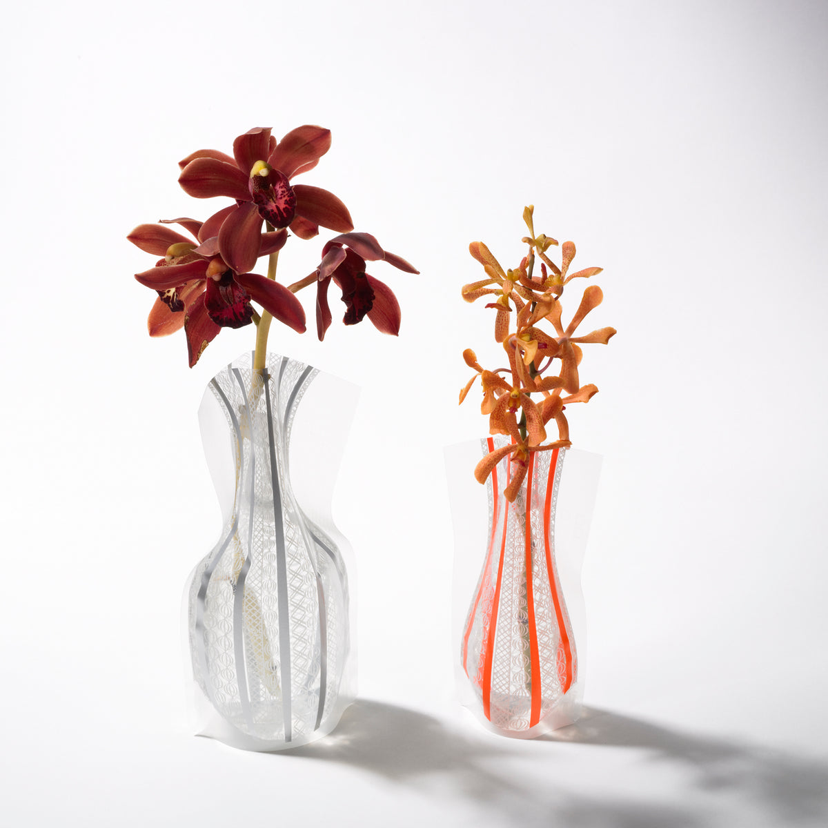 DARTINGTON Bloom花瓶 ハンドメイド フラワーベース コスモス