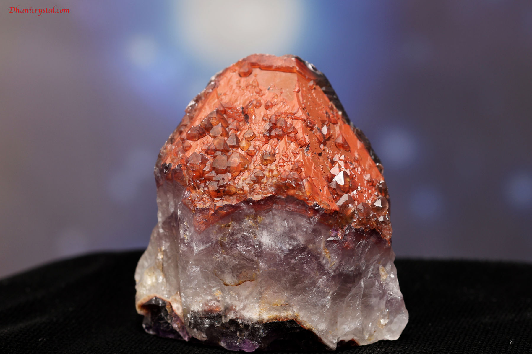 エイリアン・アメジスト(A647)