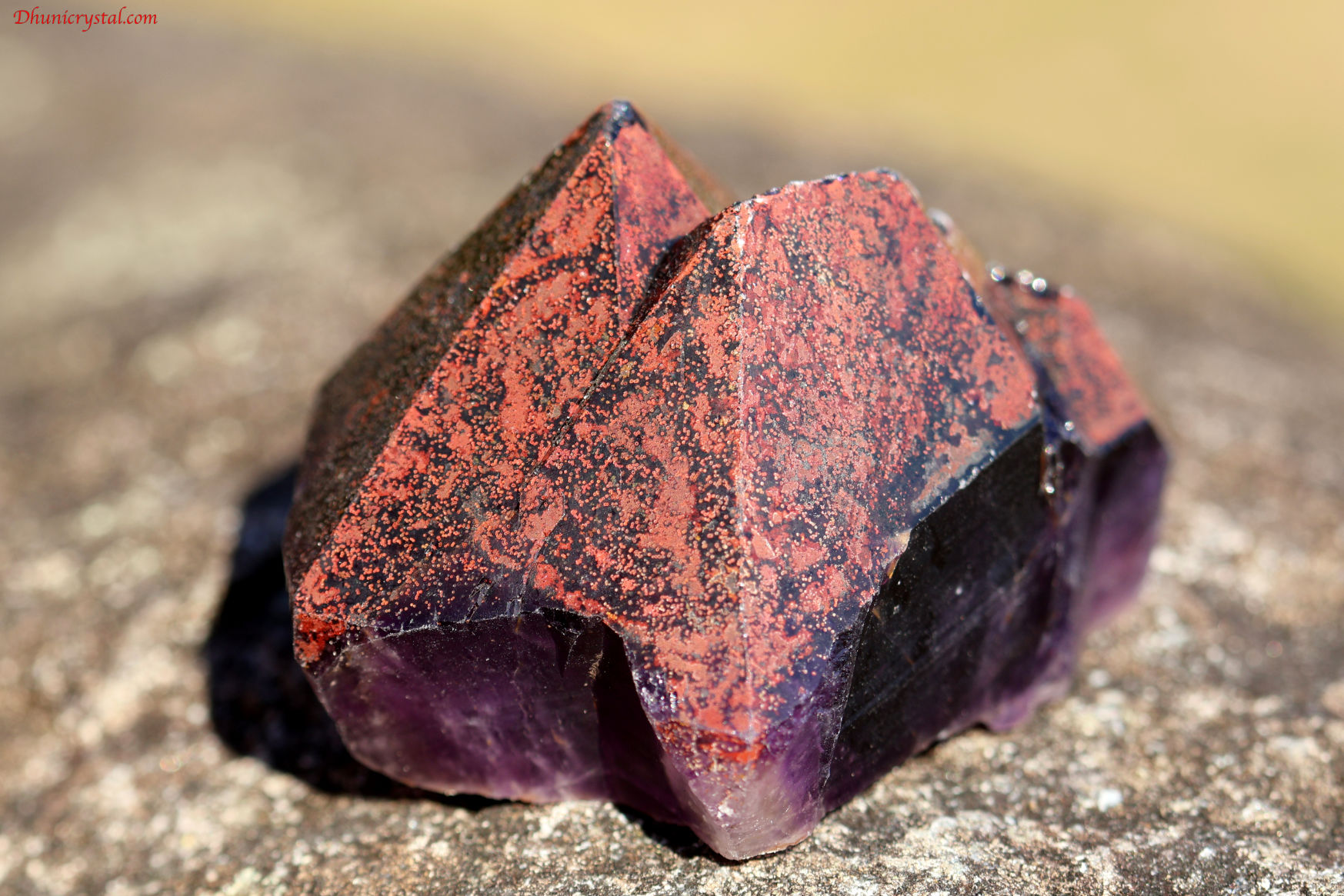 エイリアン・アメジスト(A10)