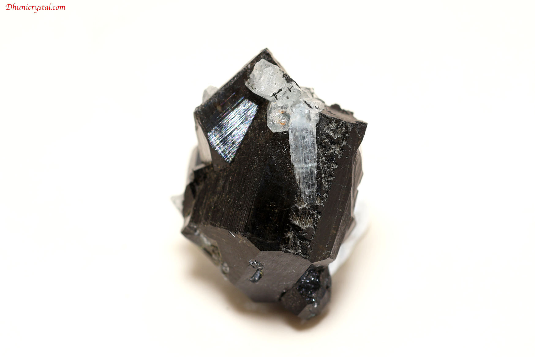 アクアマリン&ブラックトルマリン共生鉱物(A293)