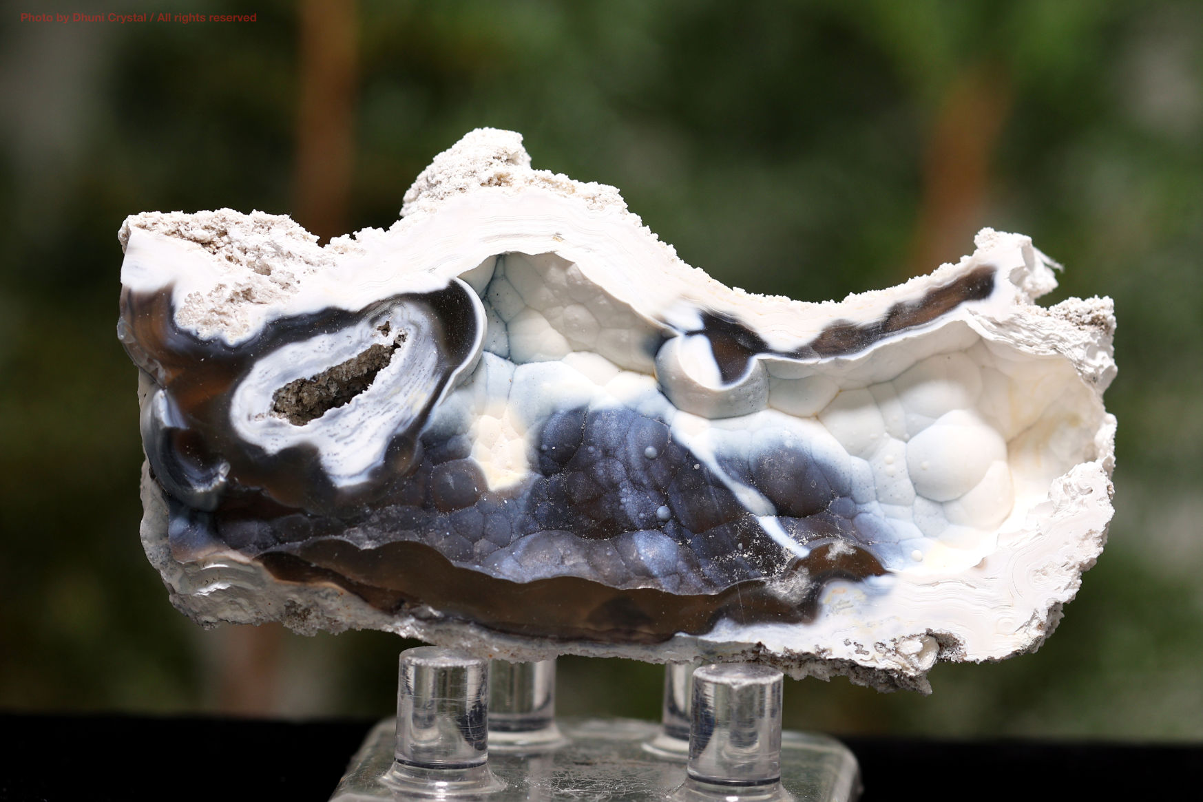 アゲート化サンゴ｜珊瑚の化石が瑪瑙化した天然石・グラウンディング