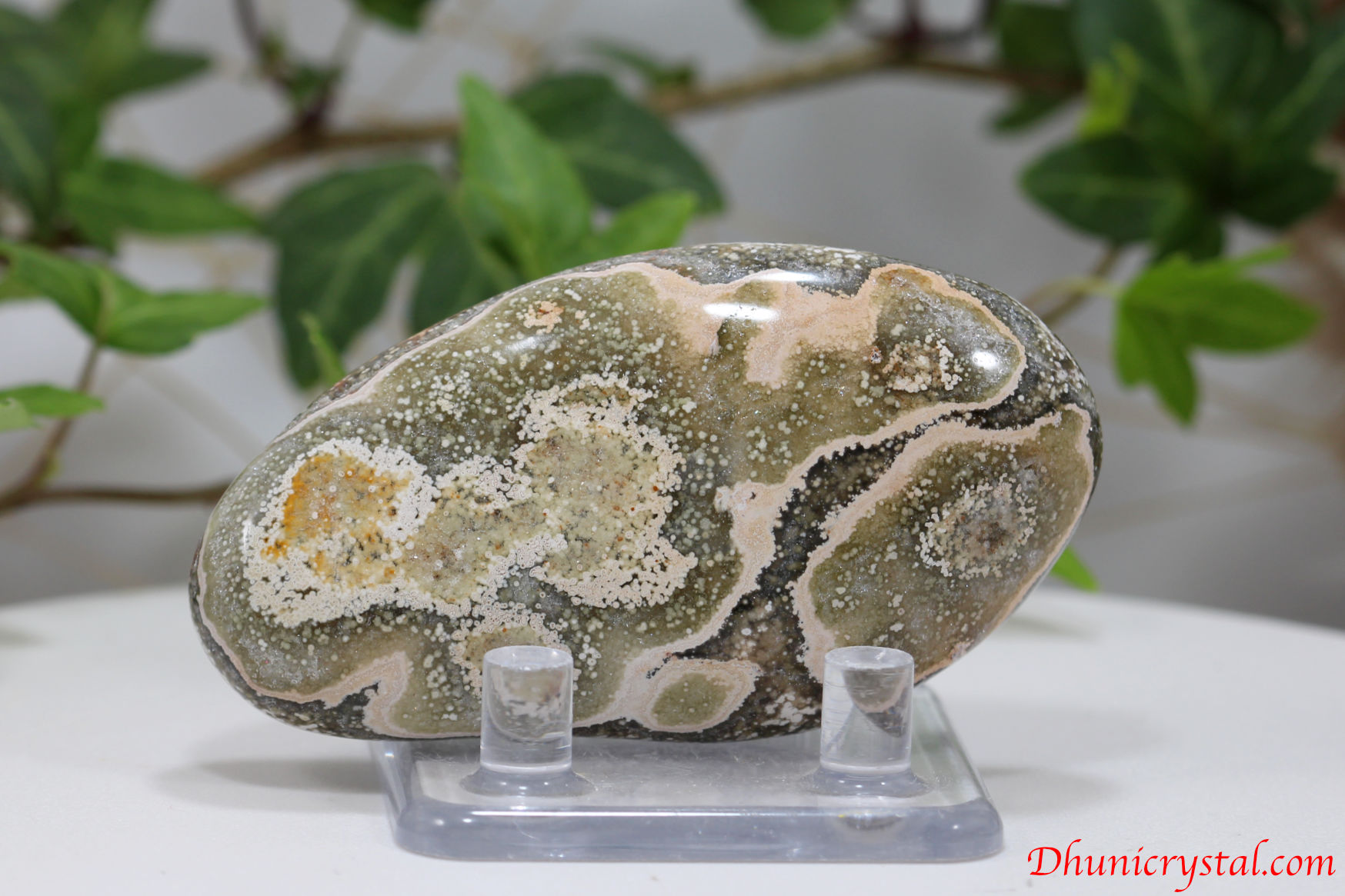 オーシャンジャスパー（V5）