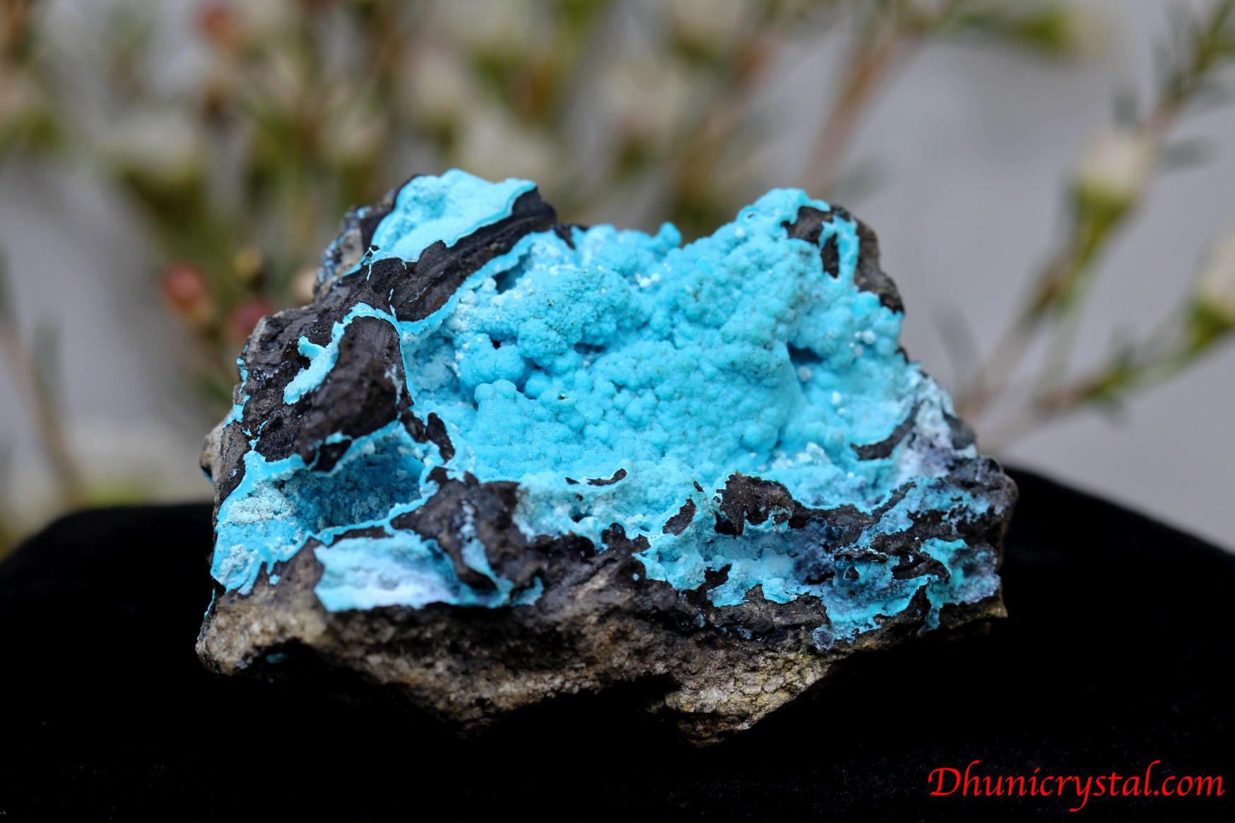 クリソコラ/珪孔雀石