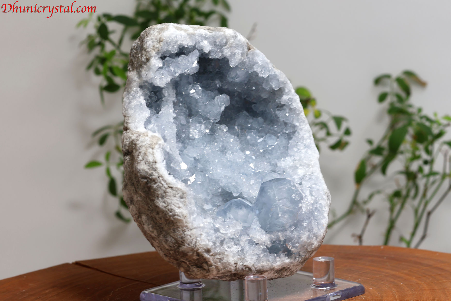 セレスタイト原石/天青石(W75)