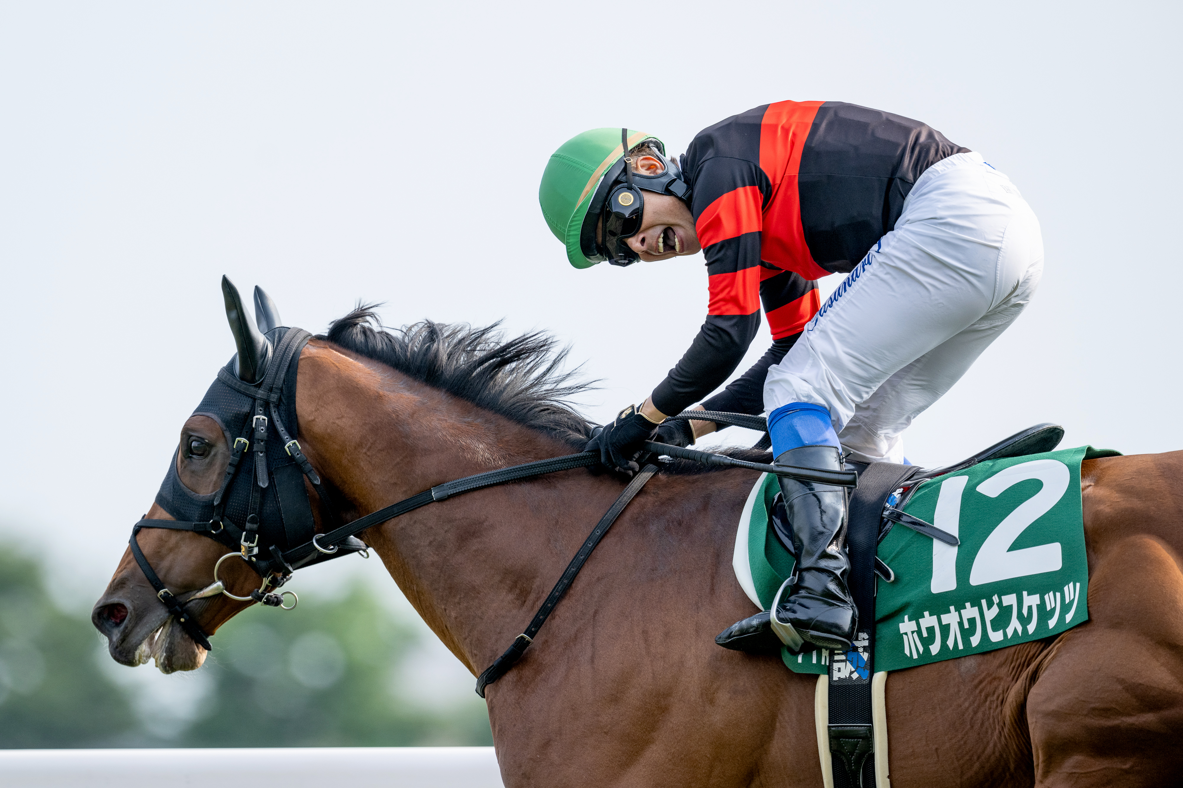 函館記念2024結果情報】後続突き放す完勝 ホウオウビスケッツが重賞初