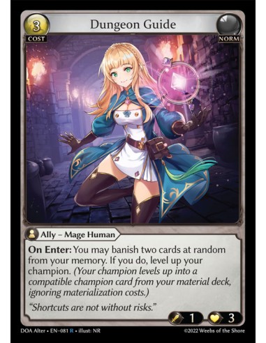 DUNGEON GUIDE - RARE