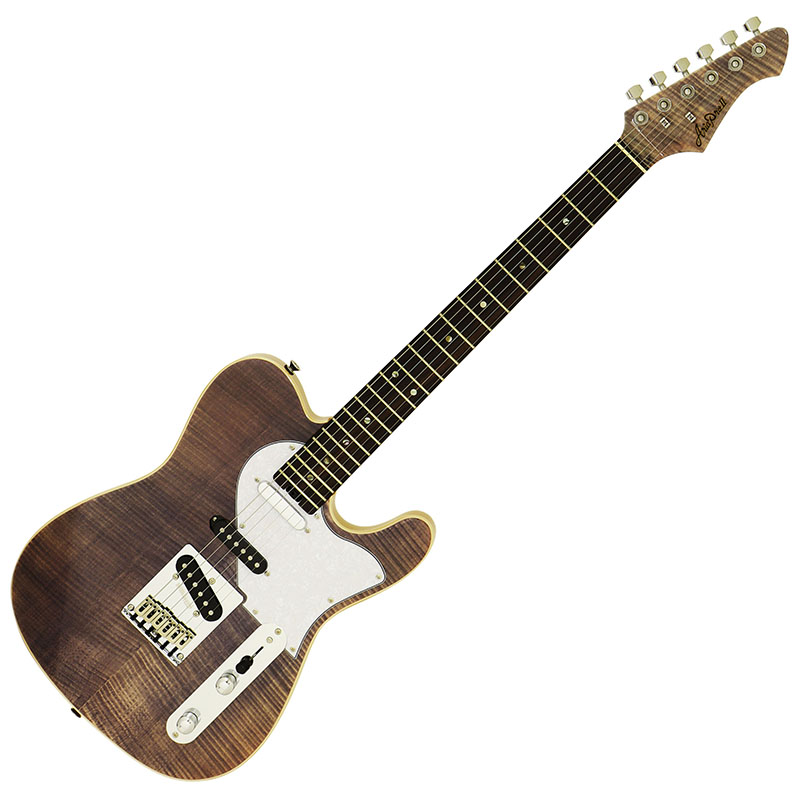 AriaProIIよりエレキギター新シリーズ AE Aria Evergreen登場！ - Discover