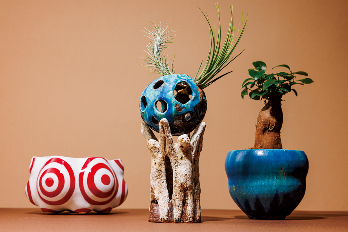 渋谷パルコで開催！アートスペース油亀企画展〈鉢は植物の着物である