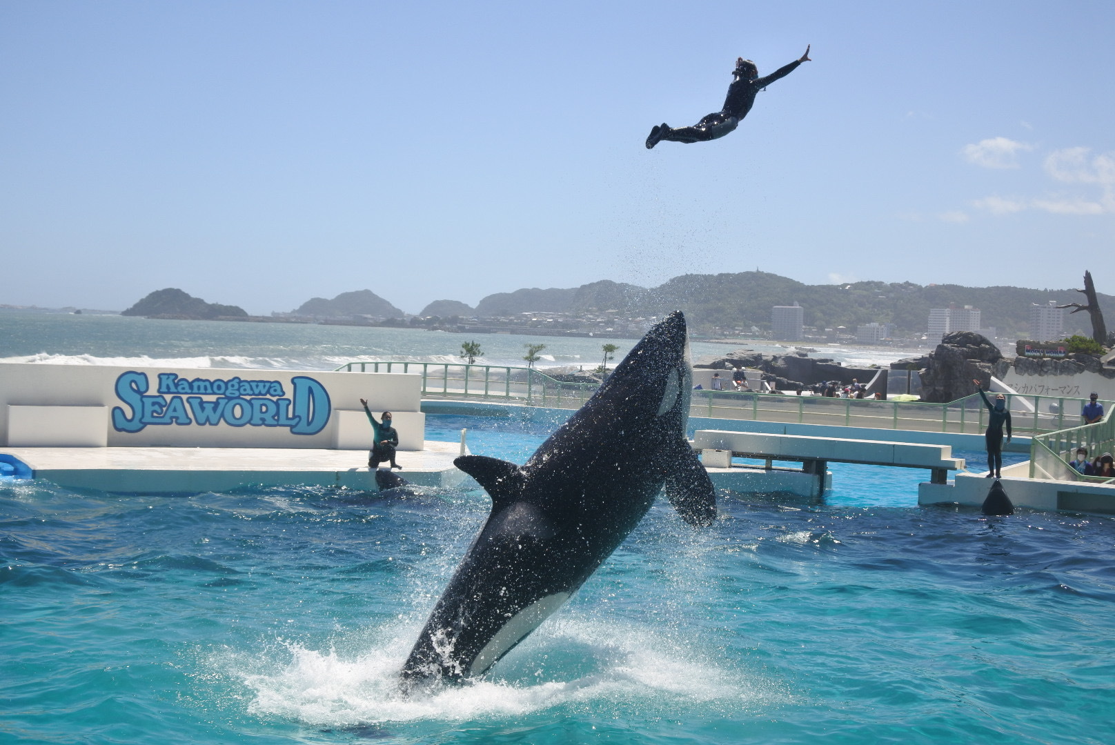 編集部の休日】憧れのシャチに会いに！鴨川シーワールドへ行ってきまし