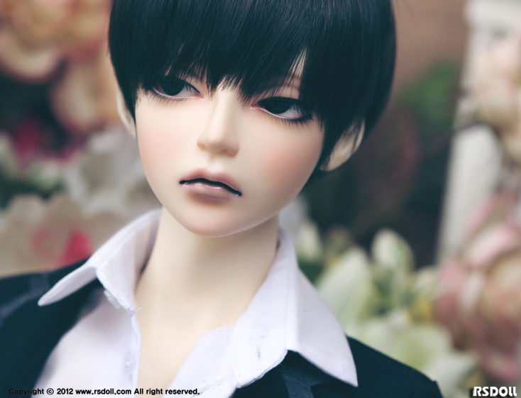 NEW EVAN｜DOLK（ドルク）