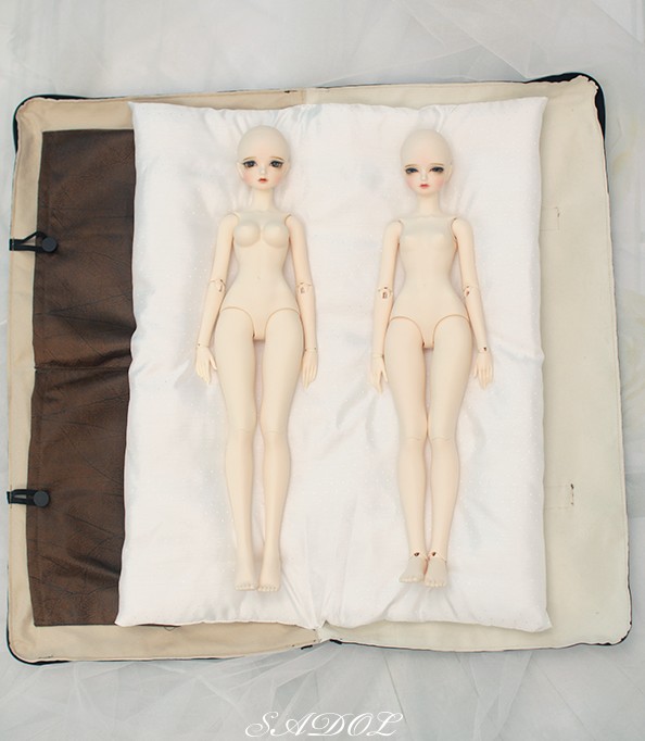 Cutie40 [SoDam] Basic｜DOLK（ドルク）