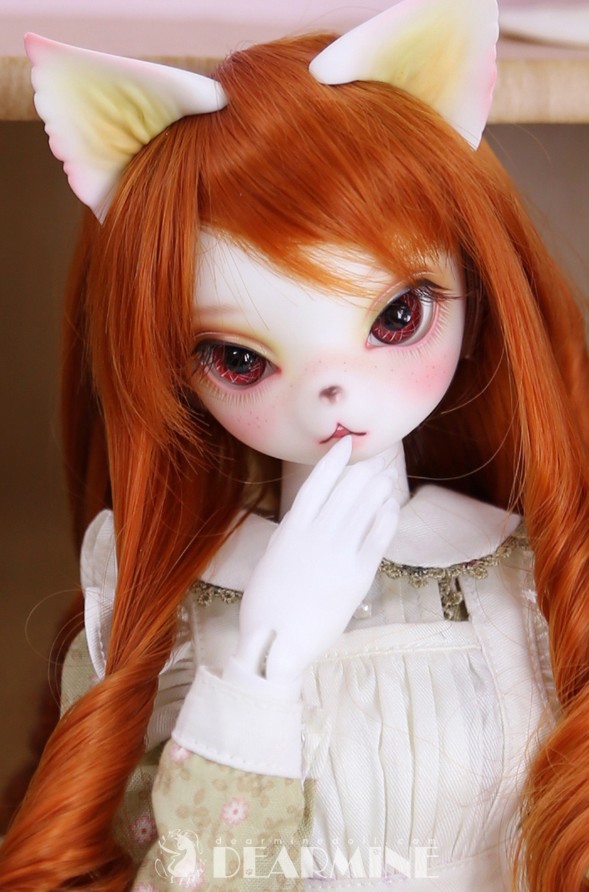 PRISCILLA｜DOLK（ドルク）