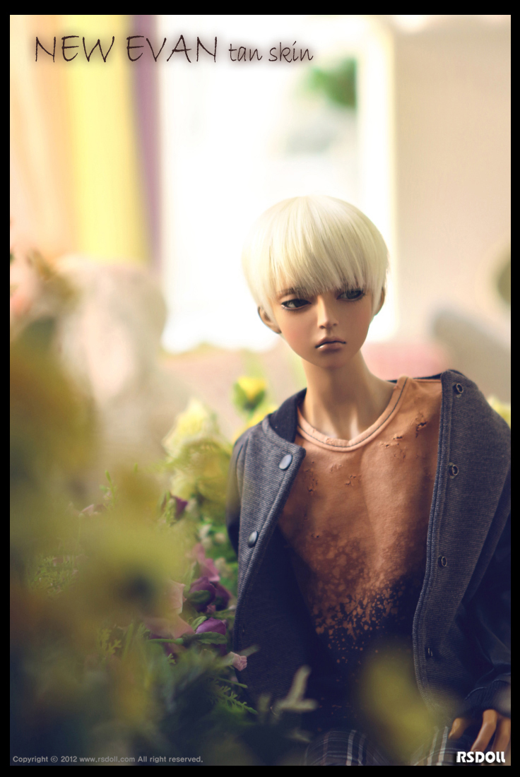 DOLK×RSDOLL】NEW EVAN - Limited Edition Tan Skin - 特別再販｜DOLK