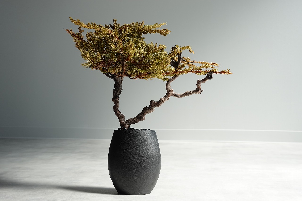 ドライ盆栽【新緑】 DRY BONSAI | DRY BONSAI｜ドライ盆栽｜枯れ盆栽