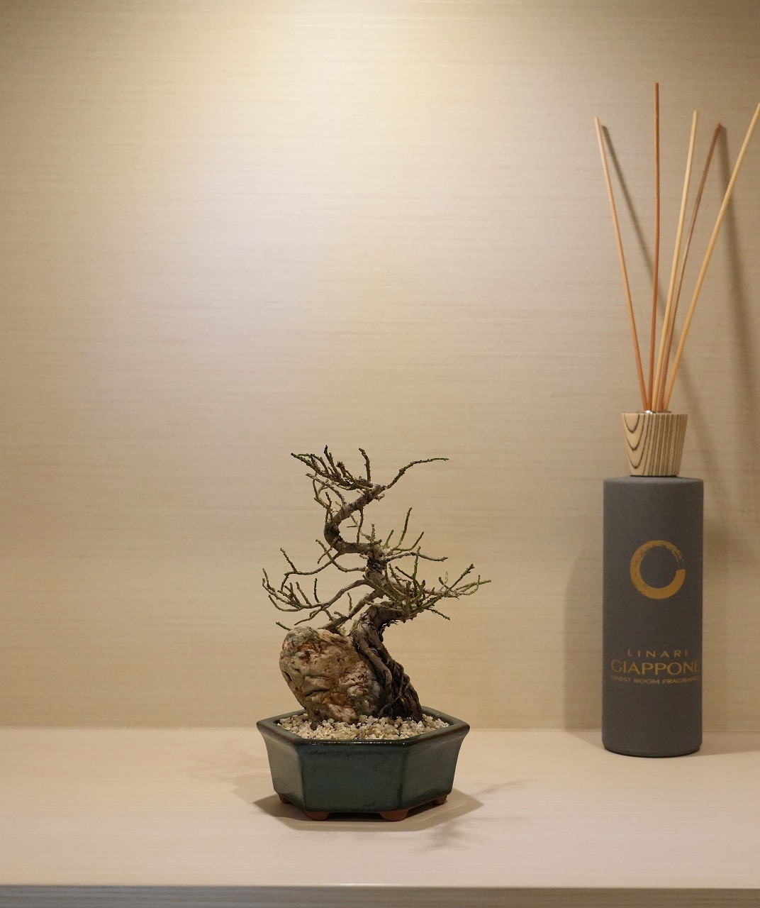 ドライ盆栽®【石付きⅢ】 DRY BONSAI | DRY BONSAI｜ドライ盆栽｜枯れ盆栽