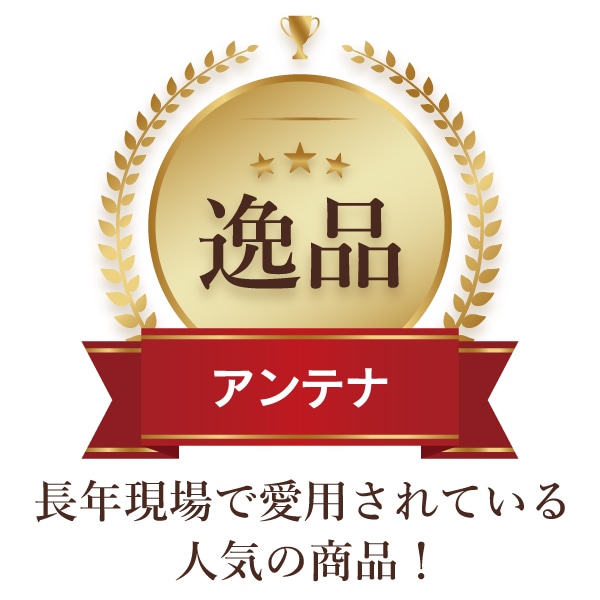 DXアンテナ】 平面アンテナ 20素子〈ブラック〉|e431（いいしざい