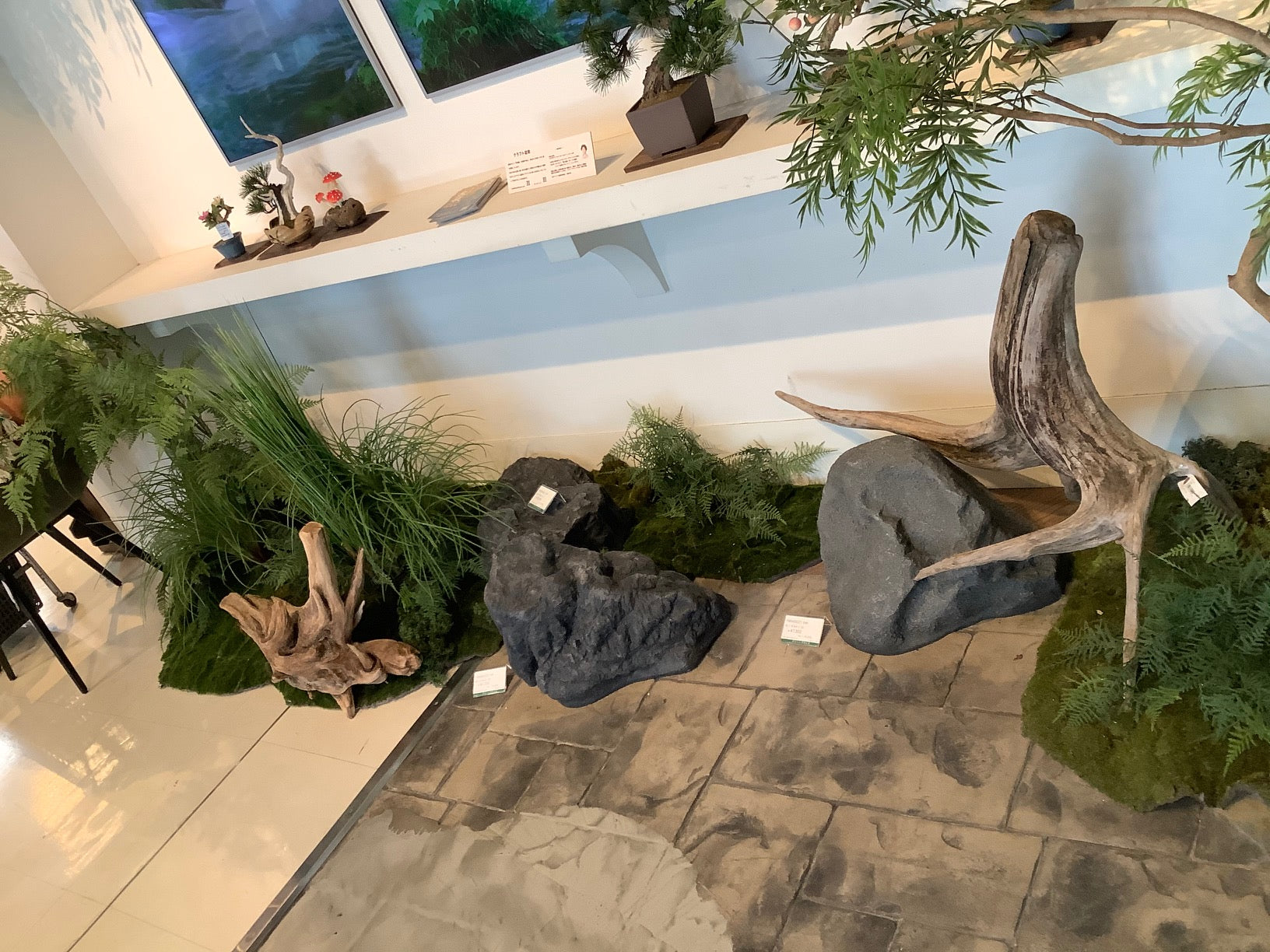 貝殻・流木 自然素材2000点以上】天然素材の通販サイト -エコクラフト