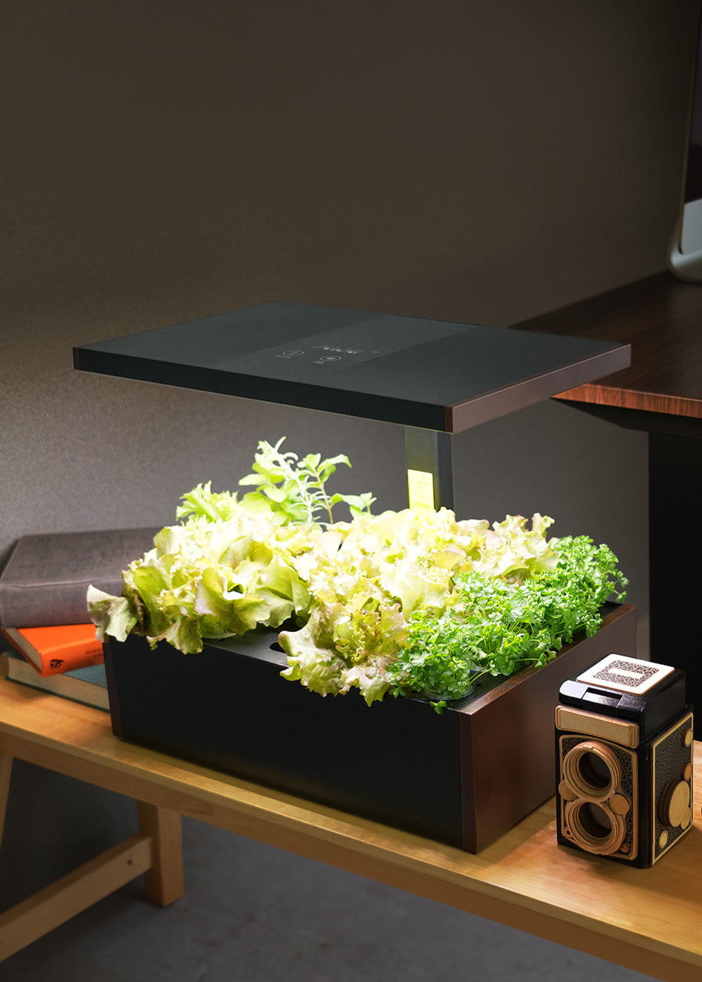 EastForce スマート水耕栽培キット 室内 水耕栽培 – EastForce 公式サイト