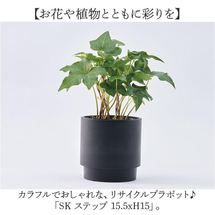 植木鉢 プラスチック 丸型 通販 SK ステップ 15.5xH15 鉢 約 5号 鉢