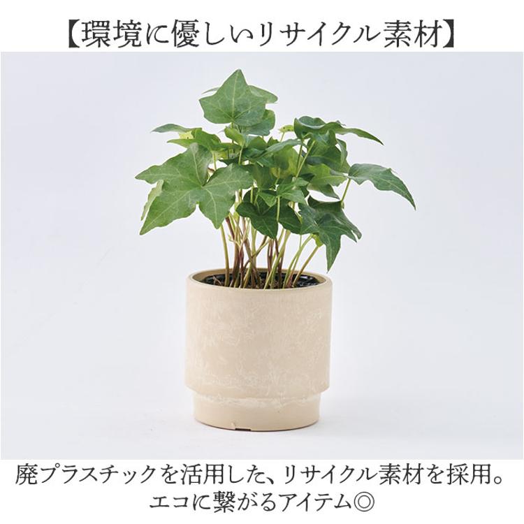 植木鉢 プラスチック 丸型 通販 SK ステップ 15.5xH15 鉢 約 5号 鉢