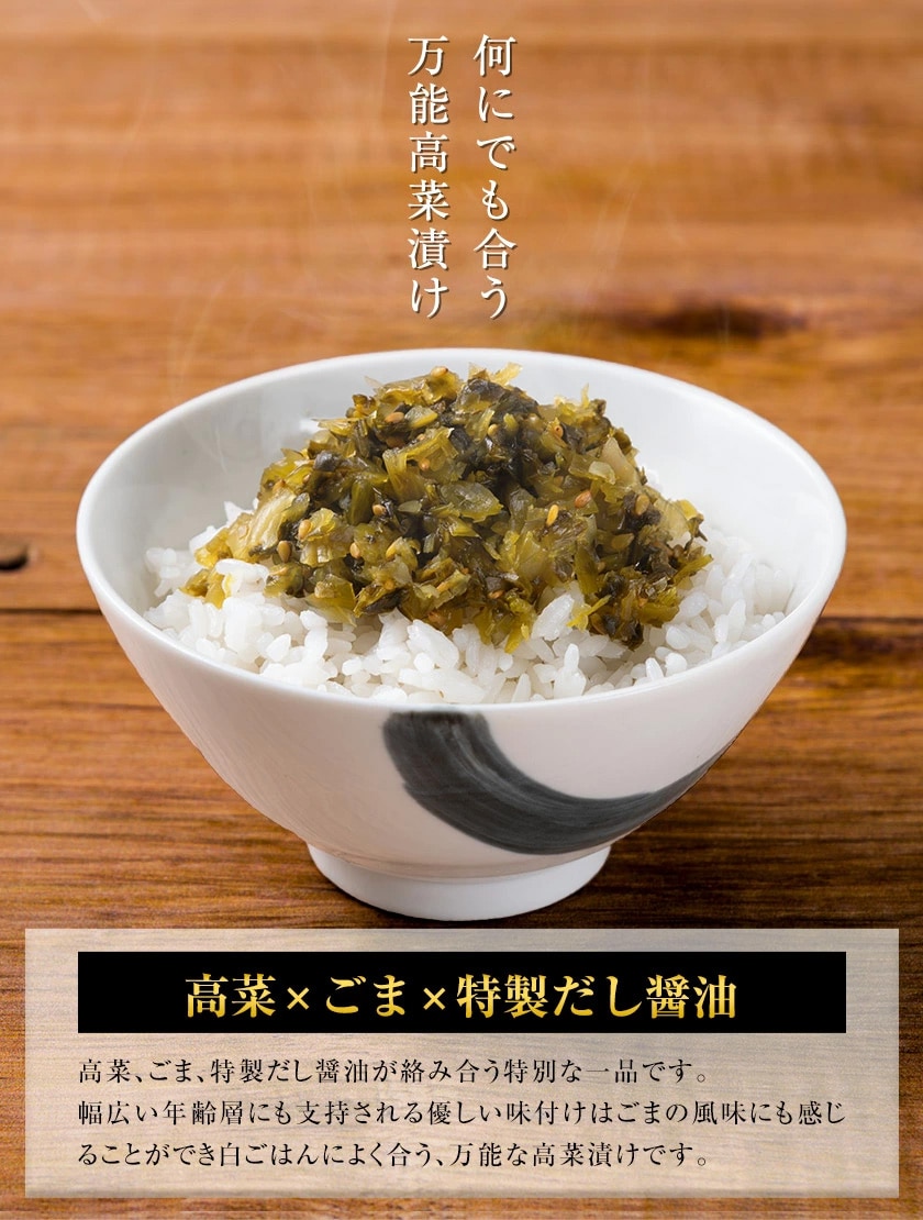 辛子高菜 ごま高菜 2種 食べ比べセット 計 400g 本場 九州産 国産 1000