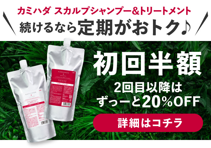 ノンシリコンシャンプー 人気のドクターズヘアケアセット