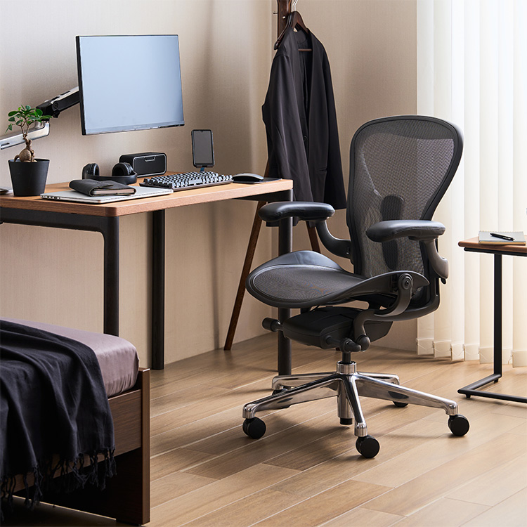 アーロンチェア X39900 グラファイト/ポリッシュドアルミニウム 通販