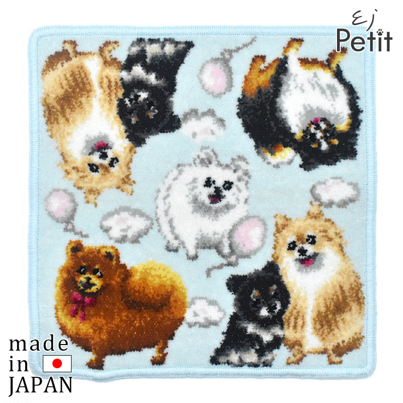 日本製 ポメラニアン ポメプー ポメチワ ブラックタン ブラタン