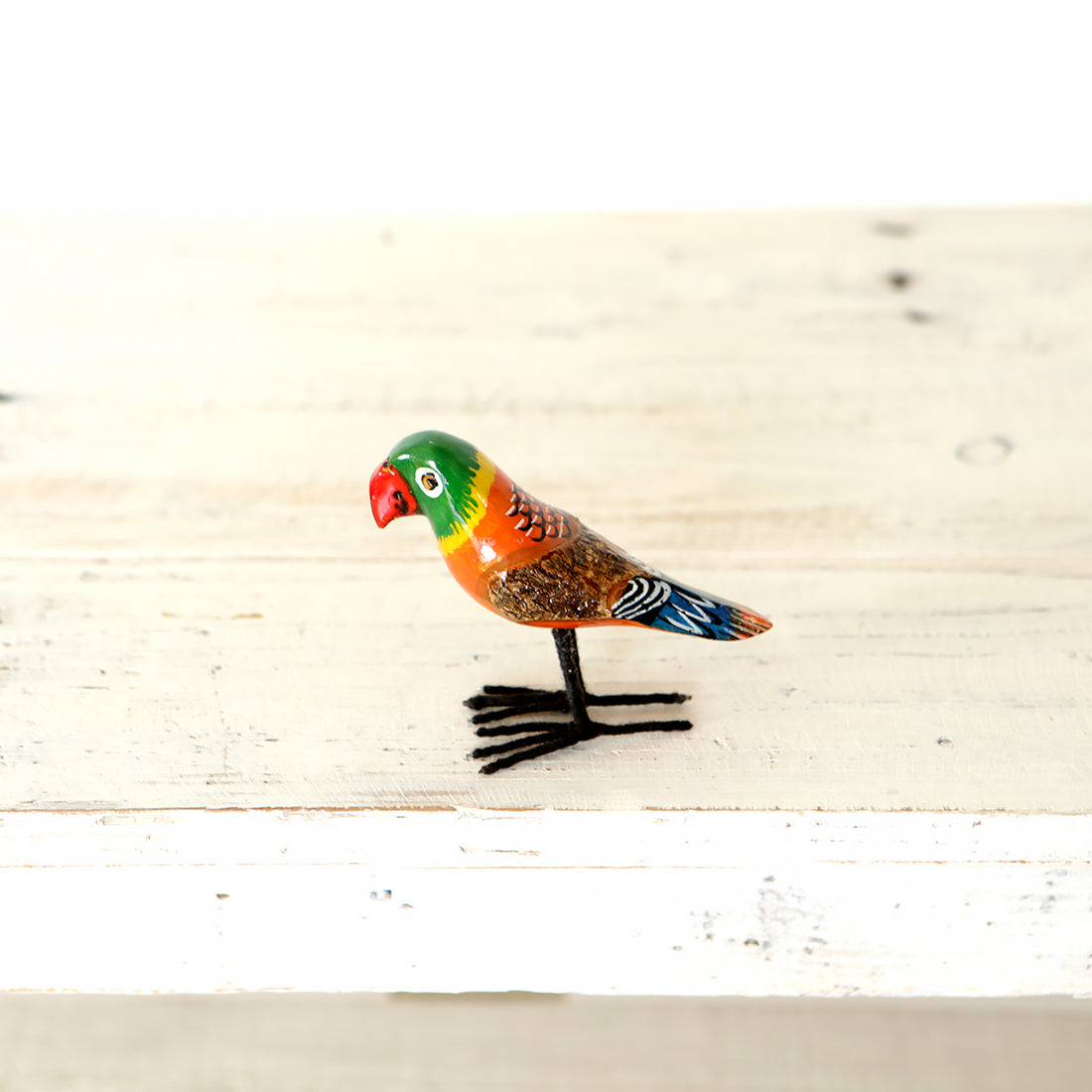 ルリゴシボタンインコ2 – en plus(オンプリュ)