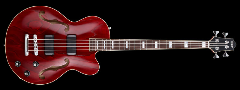 ESP | ARTIST CUSTOM GUITARS | 明希