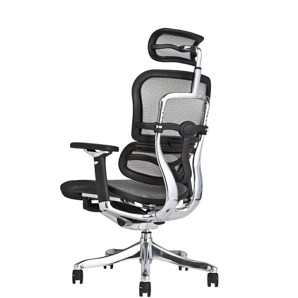 エルゴヒューマン プロ / ヘッドレスト有り【メーカー組み立て完成品