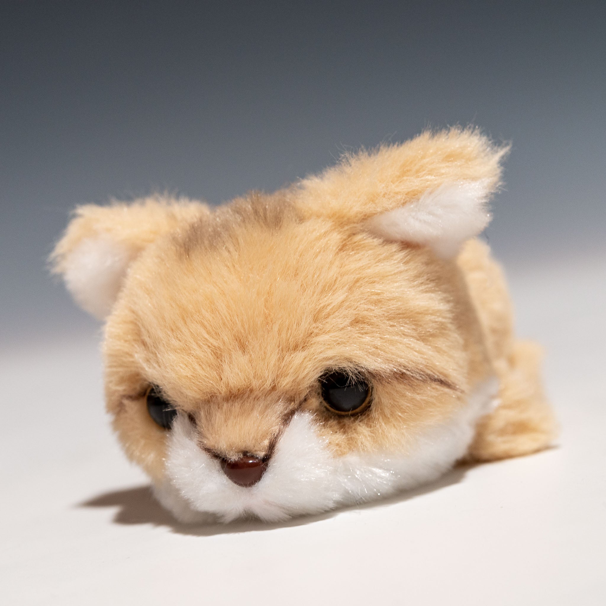 CUTE キュート販売 ぬいぐるみ てのひらスナネコ Z0327 - エステルノ