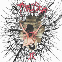 The Wizard (2016 - LP) | Zeddicus Zu`l Zorander