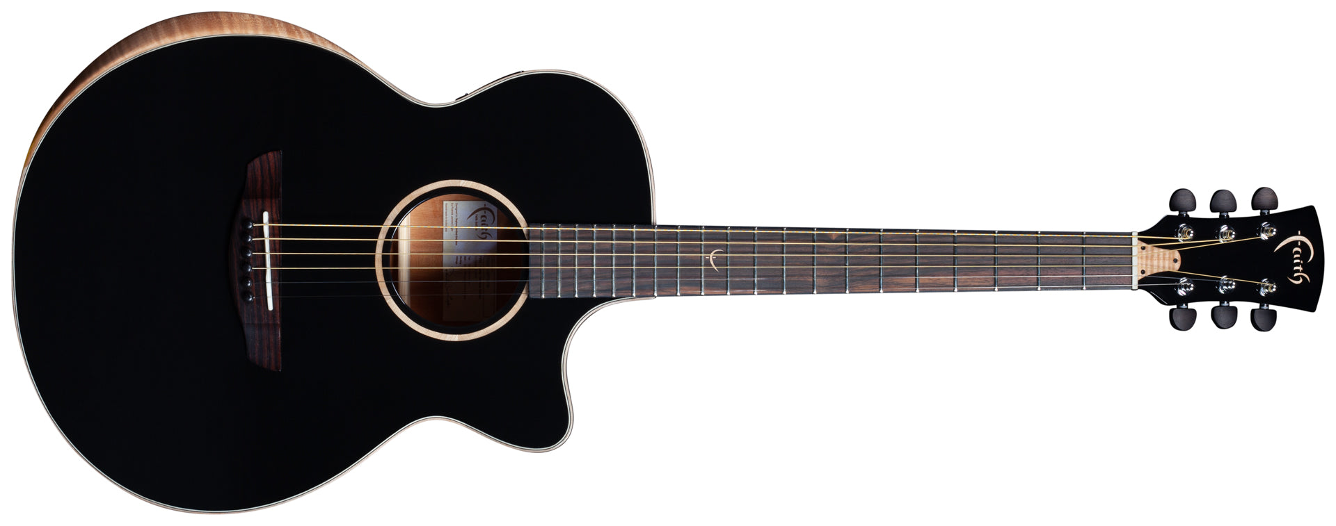 FVEC-3-D.jpg?height=592&v=