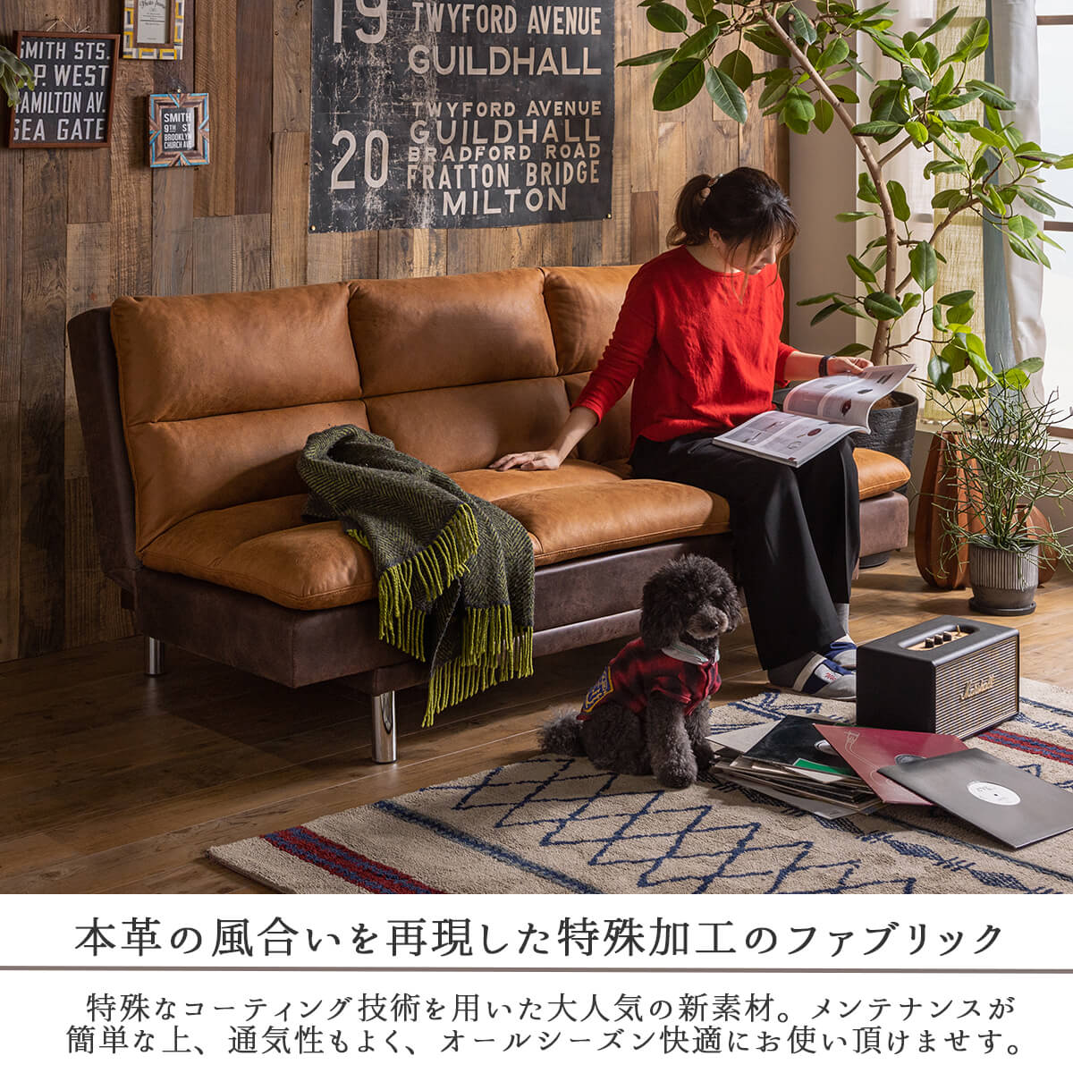 F00802_ソファ ソファベッド ソファー ソファーベッド ファブッリク