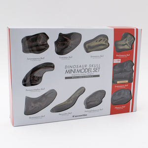 Favorite｜ダイナソースカルミニモデルセット｜手のひらに広がる太古の世界
