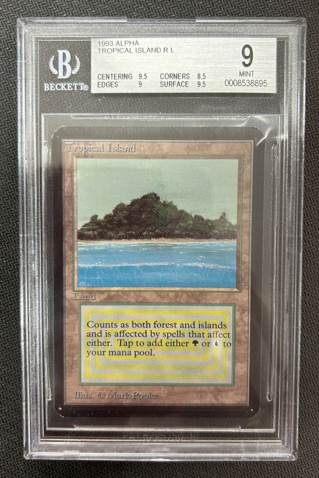 Tropical Island》[LEA] 土地R | 日本最大級 MTG通販サイト「晴れる屋」