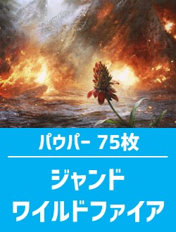 日英混合】パウパー構築済デッキセット75枚入り（ジャンドワイルド