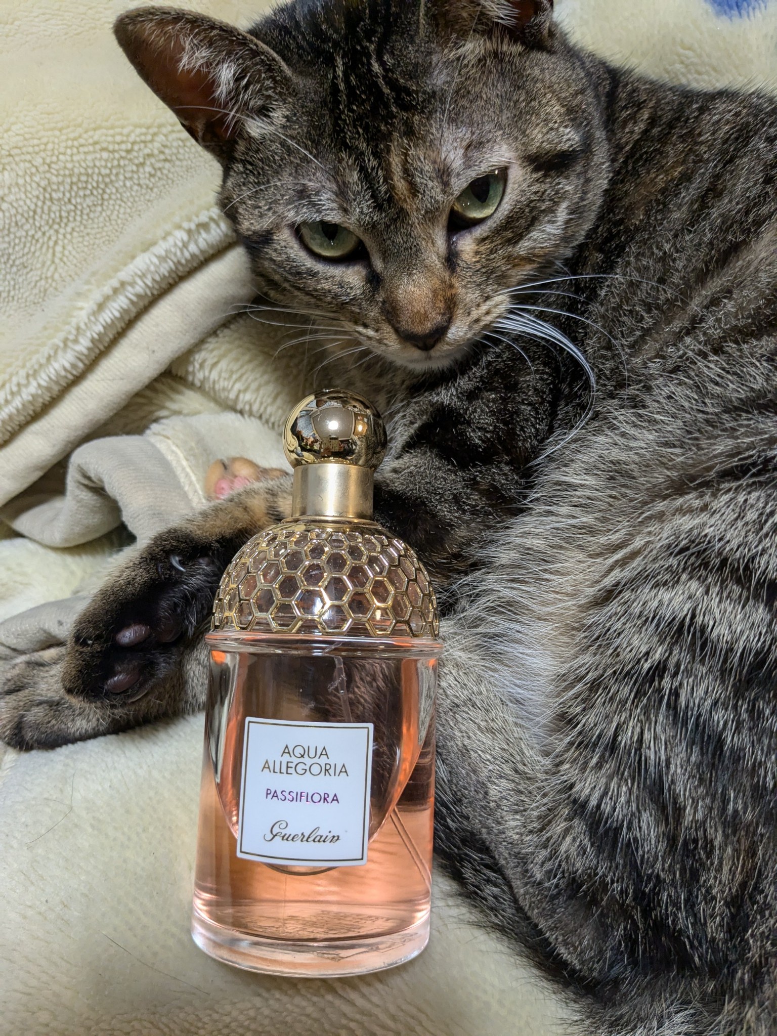 ゲラン / アクア アレゴリア パッシフローラの公式商品情報｜美容